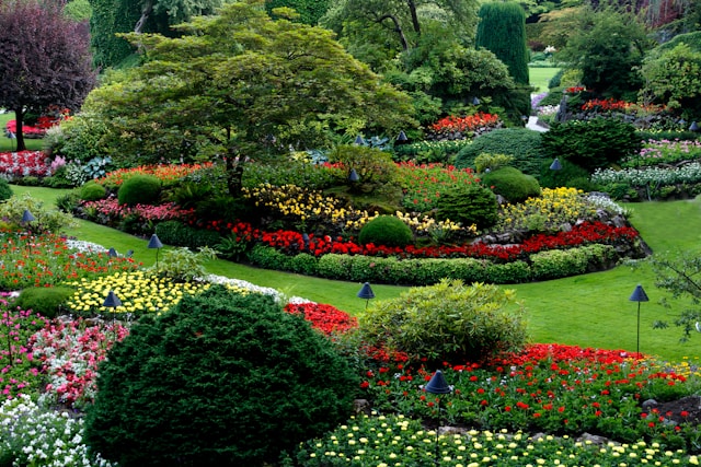 The Art of Sustainable Landscaping